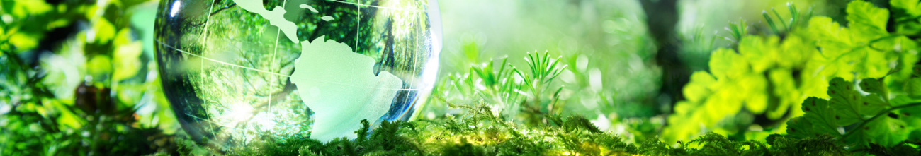 Nos Engagements Pour L Environnement Et Un Developpement Durable B O T A N Professionnel