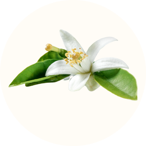 eau-de-fleur-d-oranger